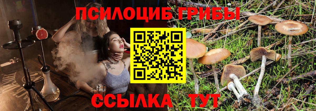 Псилоцибиновые грибы Psilocybe  Галлюциногенные грибы GOLDEN TEACHER  Усинск  Вход с VPN 