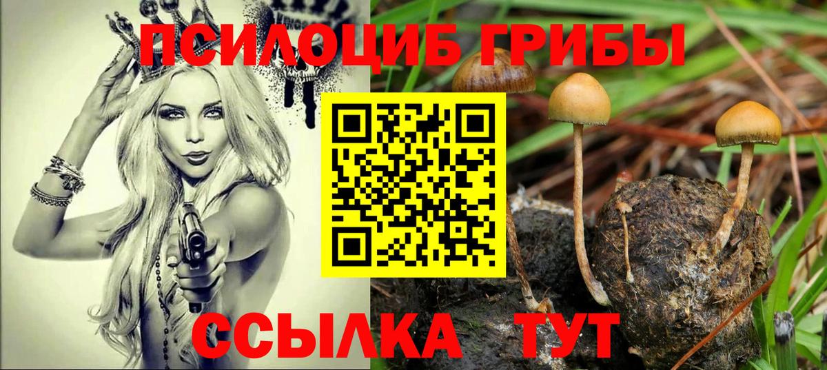 Галлюциногенные грибы прущие грибы Усинск